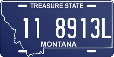 MT license plate 118913L