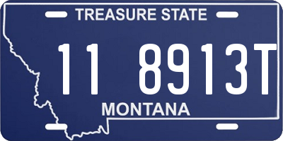 MT license plate 118913T