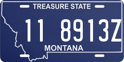 MT license plate 118913Z