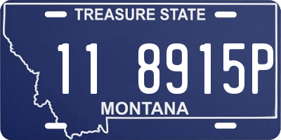 MT license plate 118915P