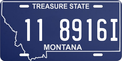 MT license plate 118916I