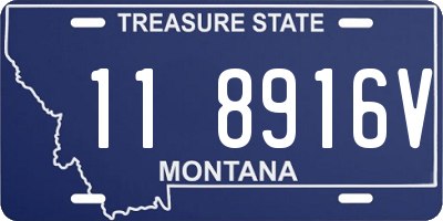 MT license plate 118916V