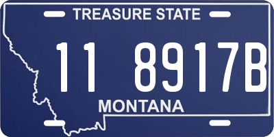 MT license plate 118917B