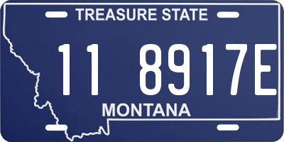 MT license plate 118917E