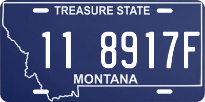 MT license plate 118917F