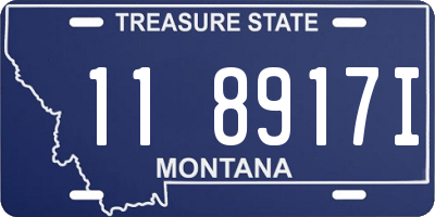 MT license plate 118917I