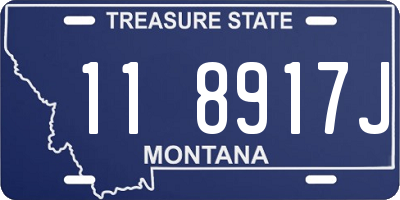 MT license plate 118917J