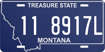 MT license plate 118917L