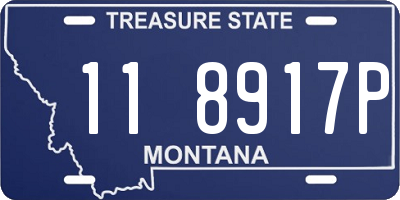 MT license plate 118917P