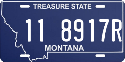 MT license plate 118917R