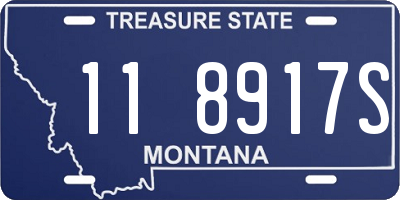 MT license plate 118917S