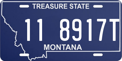 MT license plate 118917T