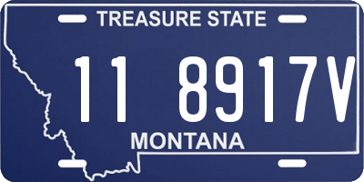 MT license plate 118917V