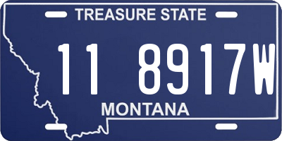 MT license plate 118917W
