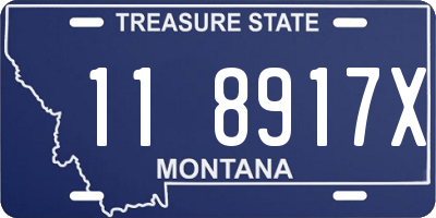 MT license plate 118917X