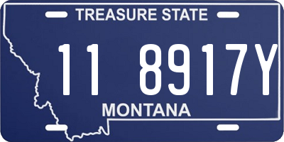 MT license plate 118917Y