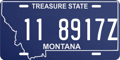 MT license plate 118917Z