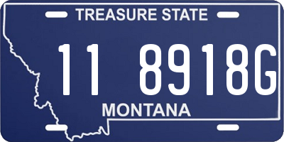 MT license plate 118918G