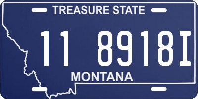 MT license plate 118918I