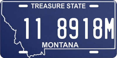 MT license plate 118918M