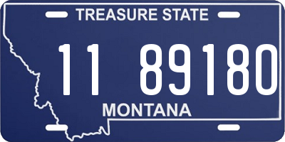 MT license plate 118918O