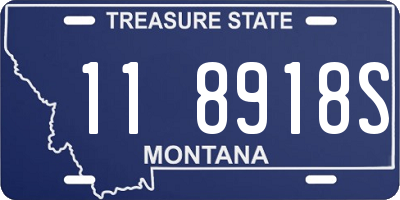 MT license plate 118918S