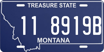 MT license plate 118919B