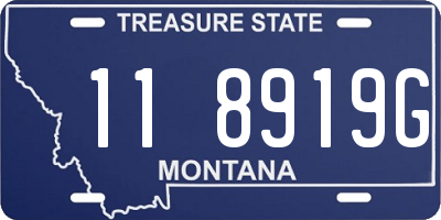 MT license plate 118919G