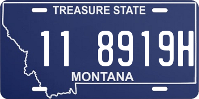 MT license plate 118919H