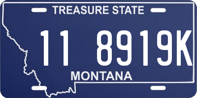 MT license plate 118919K