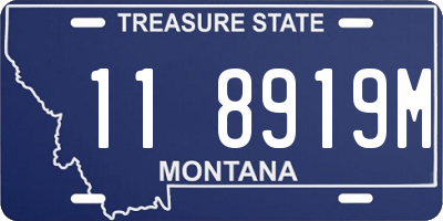 MT license plate 118919M