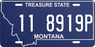 MT license plate 118919P
