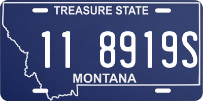 MT license plate 118919S