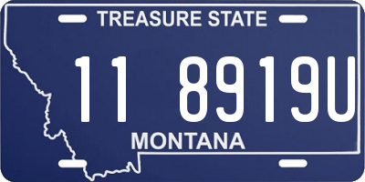 MT license plate 118919U