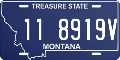 MT license plate 118919V