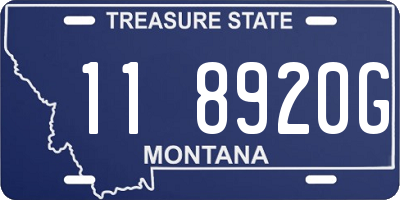 MT license plate 118920G