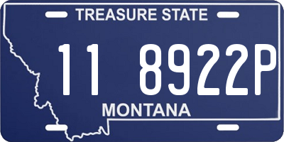 MT license plate 118922P