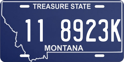 MT license plate 118923K