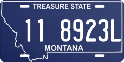 MT license plate 118923L