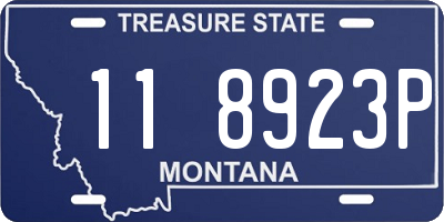 MT license plate 118923P