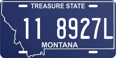 MT license plate 118927L