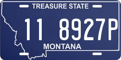 MT license plate 118927P