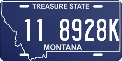 MT license plate 118928K