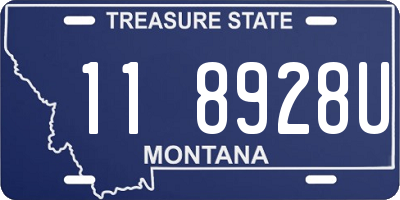 MT license plate 118928U