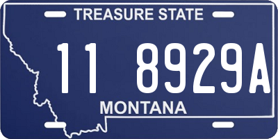 MT license plate 118929A