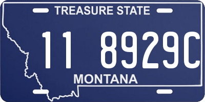 MT license plate 118929C