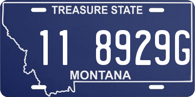 MT license plate 118929G