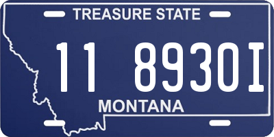 MT license plate 118930I