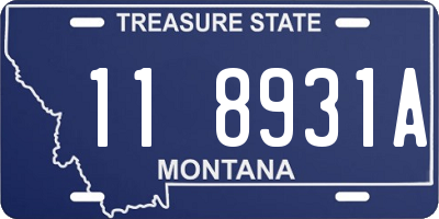 MT license plate 118931A