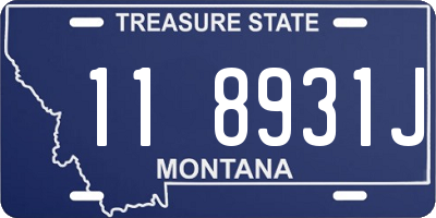 MT license plate 118931J